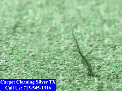Carpet-cleaning-Silver-013.jpg