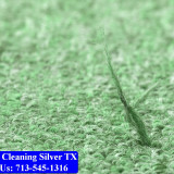 Carpet-cleaning-Silver-013