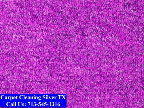 Carpet-cleaning-Silver-014.jpg
