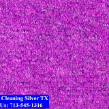 Carpet-cleaning-Silver-014