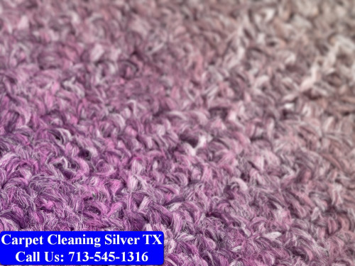Carpet-cleaning-Silver-015.jpg