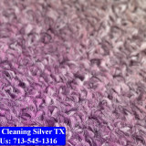 Carpet-cleaning-Silver-015