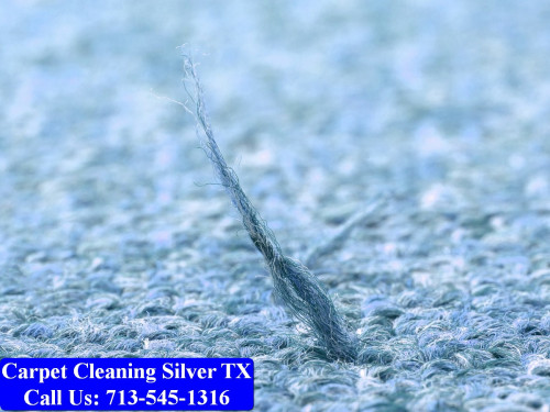 Carpet-cleaning-Silver-016.jpg