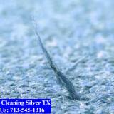 Carpet-cleaning-Silver-016