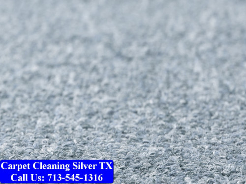 Carpet-cleaning-Silver-017.jpg