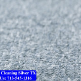 Carpet-cleaning-Silver-017