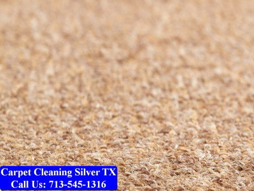 Carpet-cleaning-Silver-018.jpg