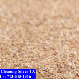 Carpet-cleaning-Silver-018
