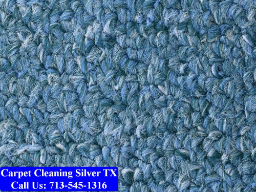 Carpet-cleaning-Silver-019.jpg