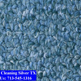 Carpet-cleaning-Silver-019