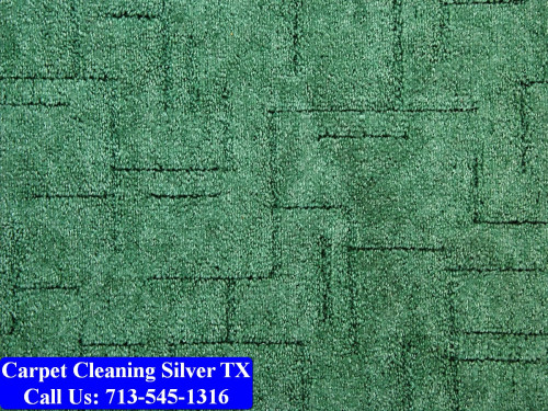 Carpet-cleaning-Silver-020.jpg