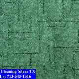 Carpet-cleaning-Silver-020