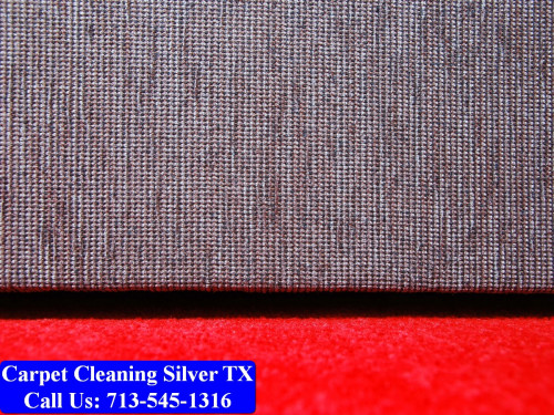 Carpet-cleaning-Silver-021.jpg