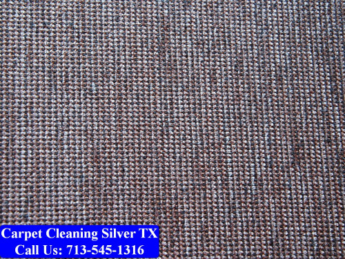 Carpet-cleaning-Silver-022.jpg
