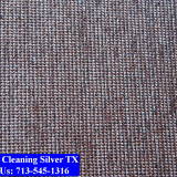 Carpet-cleaning-Silver-022