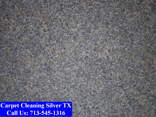 Carpet-cleaning-Silver-023.jpg