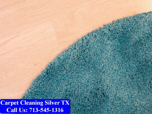 Carpet-cleaning-Silver-024.jpg