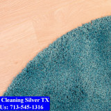 Carpet-cleaning-Silver-024
