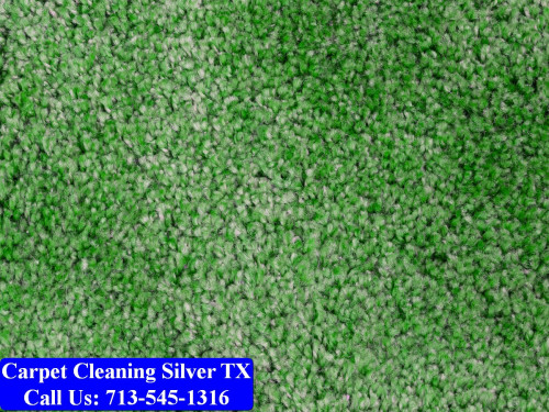 Carpet-cleaning-Silver-025.jpg
