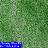 Carpet-cleaning-Silver-025