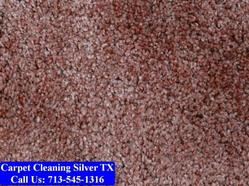 Carpet-cleaning-Silver-026.jpg