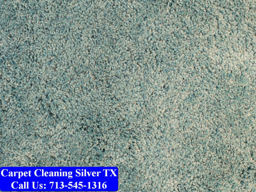 Carpet-cleaning-Silver-027.jpg