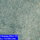 Carpet-cleaning-Silver-027