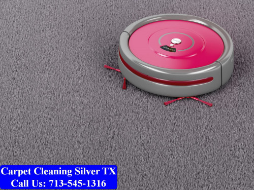 Carpet-cleaning-Silver-028.jpg