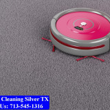 Carpet-cleaning-Silver-028