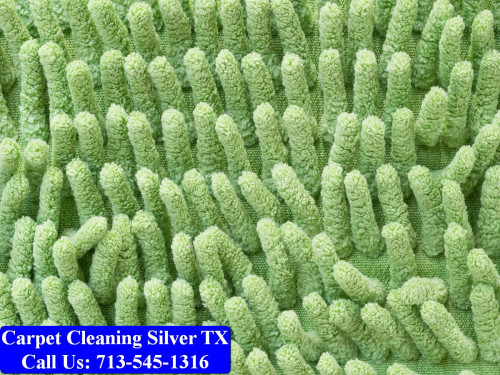 Carpet-cleaning-Silver-029.jpg