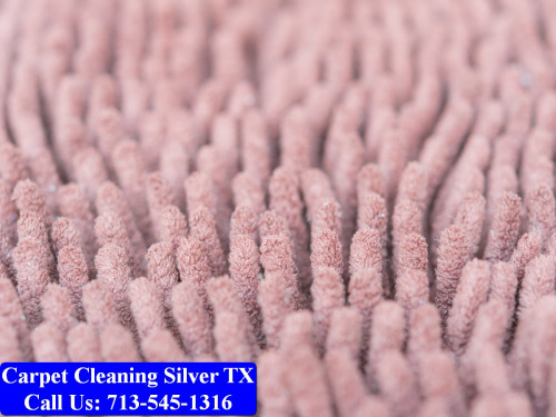 Carpet-cleaning-Silver-030.jpg