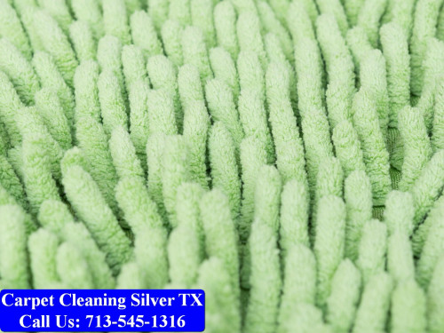 Carpet-cleaning-Silver-031.jpg