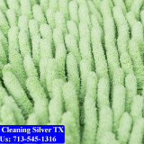 Carpet-cleaning-Silver-031