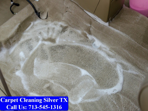 Carpet-cleaning-Silver-032.jpg