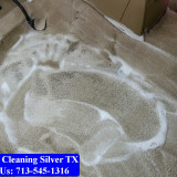 Carpet-cleaning-Silver-032