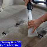 Carpet-cleaning-Silver-033