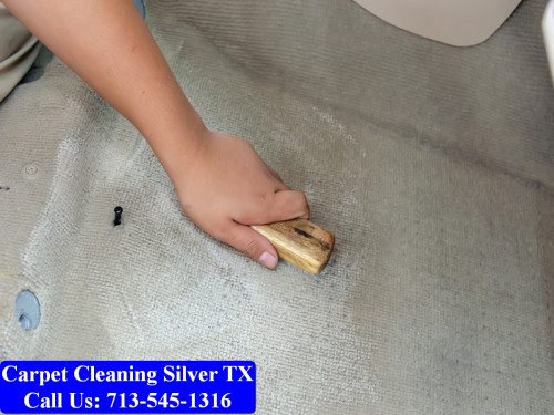 Carpet-cleaning-Silver-035.jpg