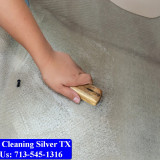 Carpet-cleaning-Silver-035