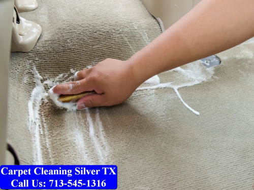 Carpet-cleaning-Silver-036.jpg