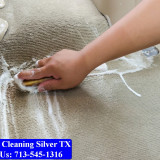 Carpet-cleaning-Silver-036