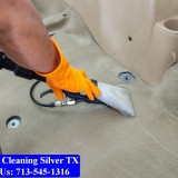 Carpet-cleaning-Silver-037