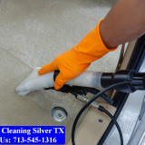 Carpet-cleaning-Silver-038
