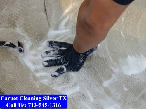 Carpet-cleaning-Silver-039.jpg