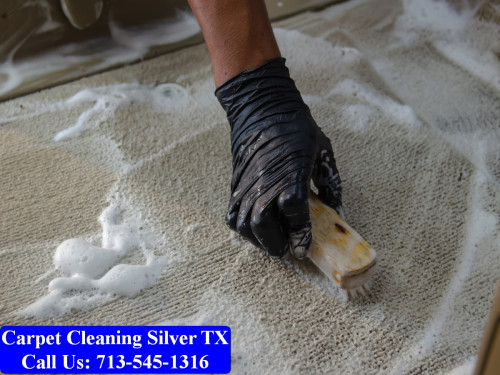 Carpet-cleaning-Silver-040.jpg