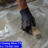 Carpet-cleaning-Silver-040