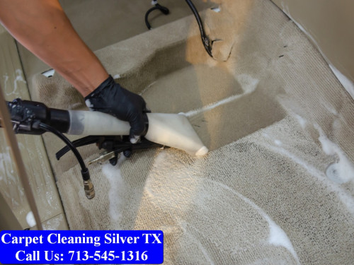 Carpet-cleaning-Silver-041.jpg
