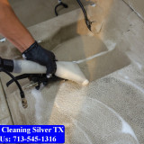 Carpet-cleaning-Silver-041
