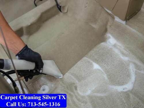 Carpet-cleaning-Silver-042.jpg