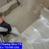 Carpet-cleaning-Silver-042