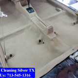 Carpet-cleaning-Silver-044